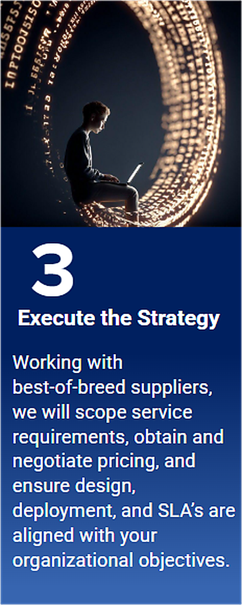 Execute the IT Strategy